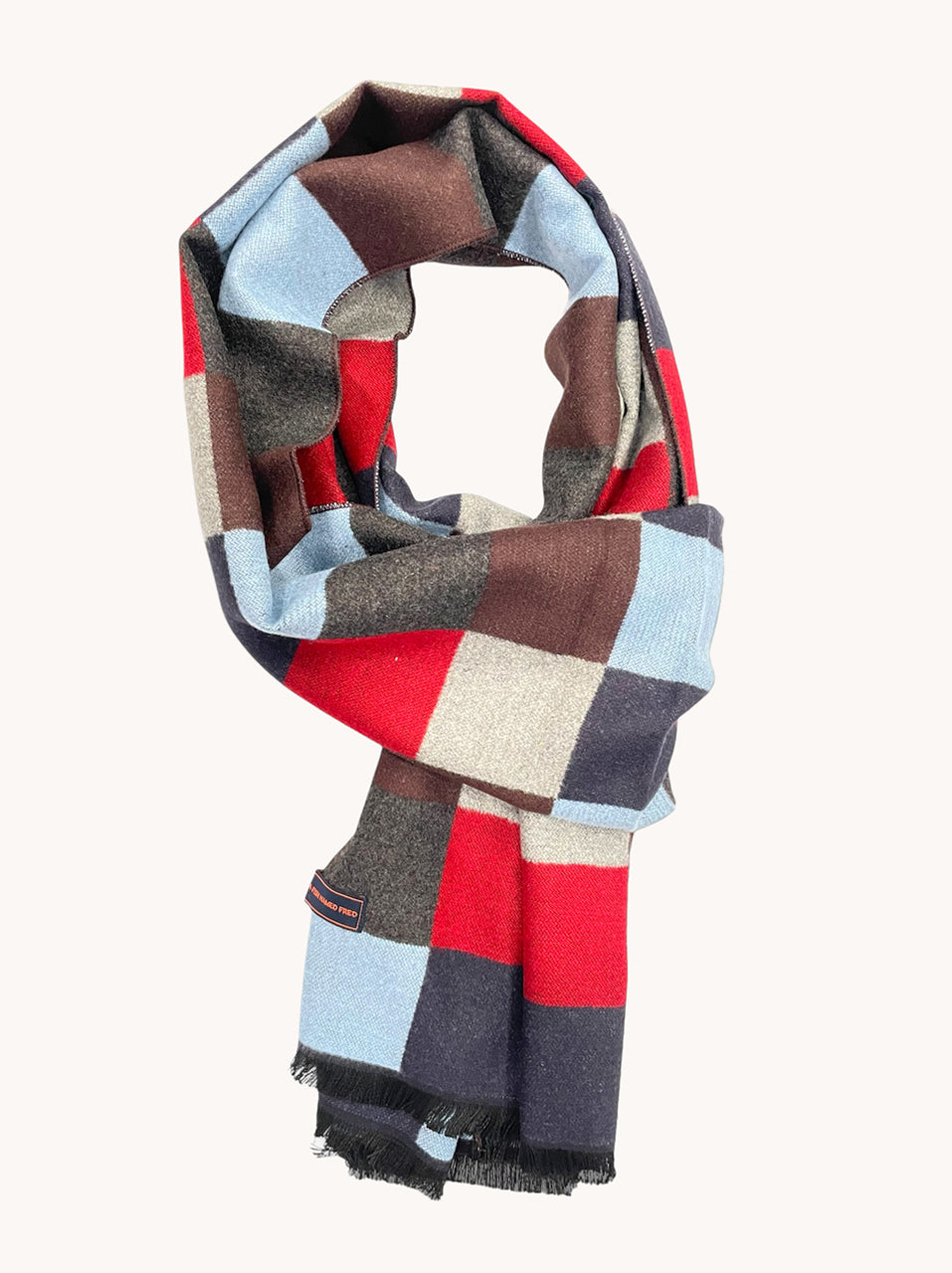 A Fish Named Fred Block Scarf