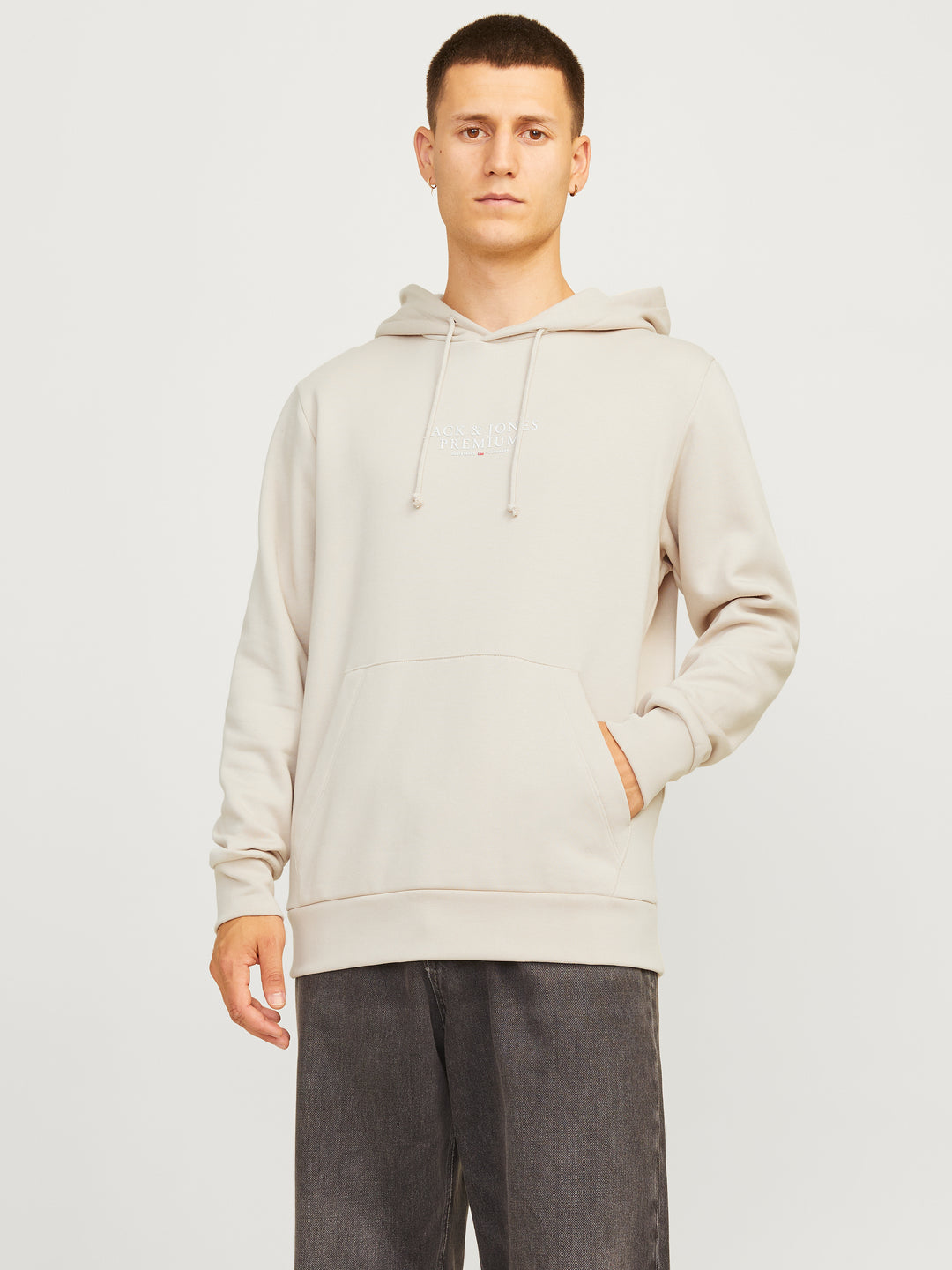 Jack & Jones Bluarchie Hoodie Moonbeam