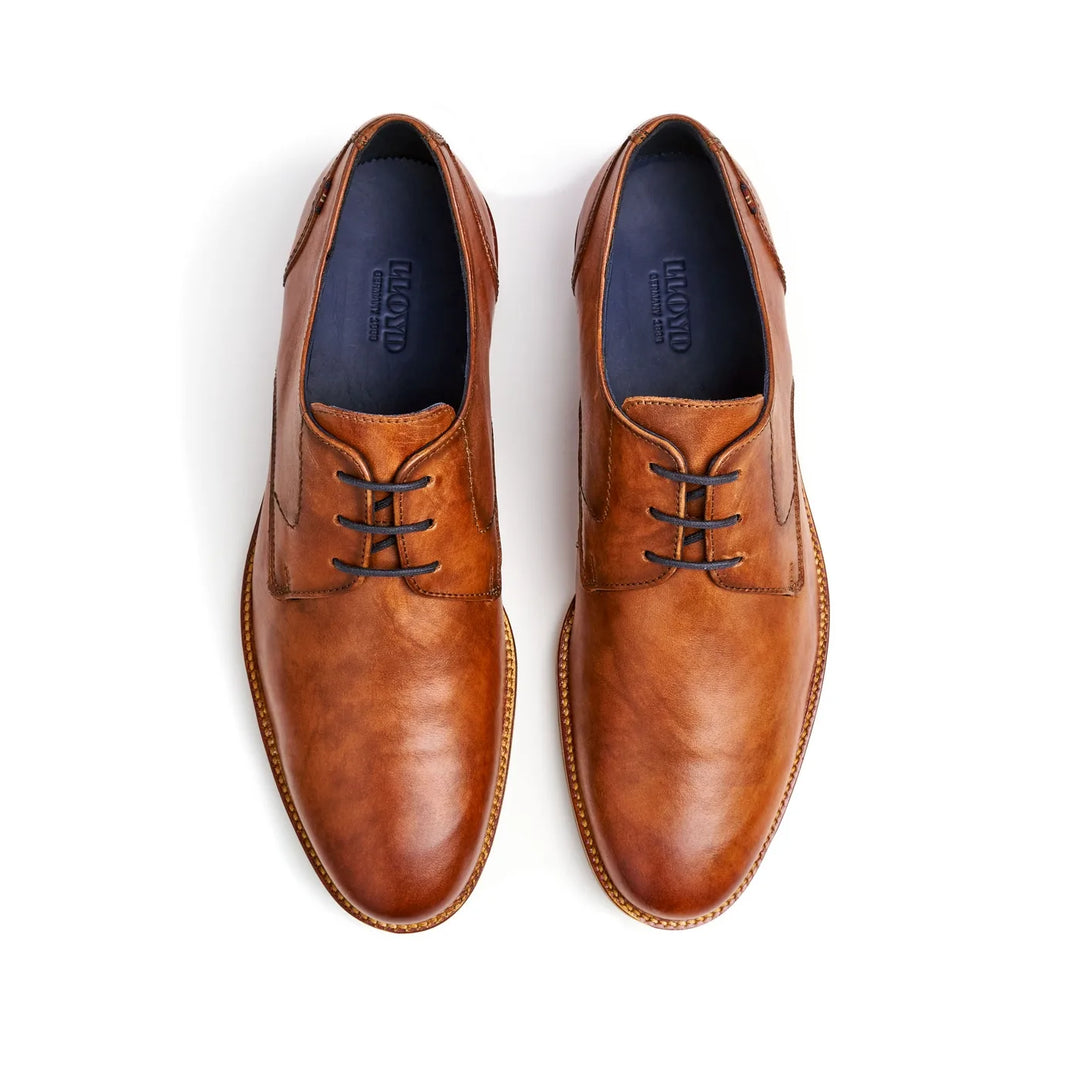 Lloyd Langston Leather Shoe Brown