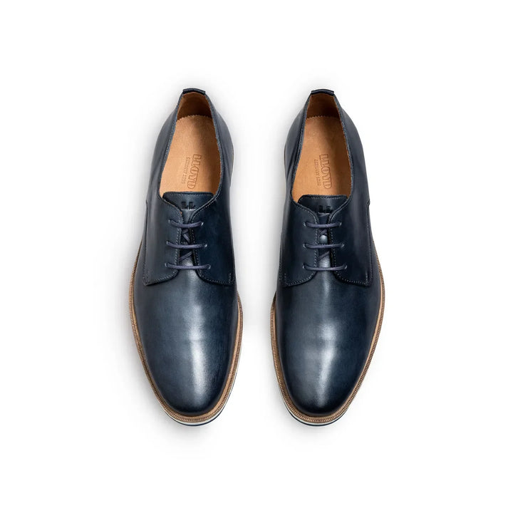 Lloyd Dakin Shoe Blue image 2