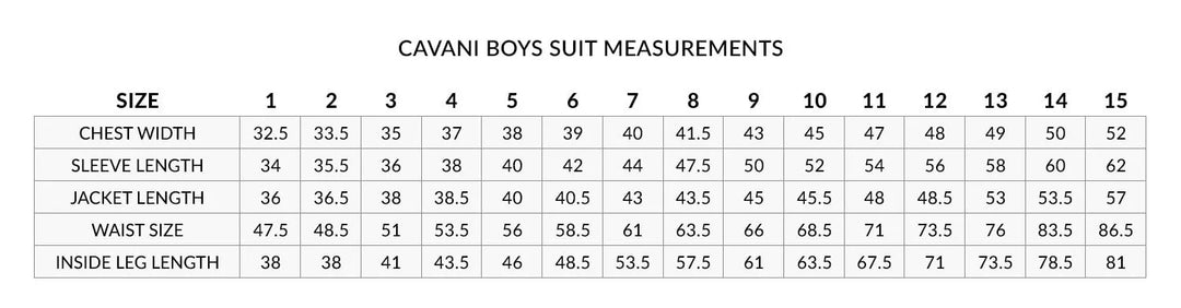 House Of Cavani Caridi Olive Boys Suit