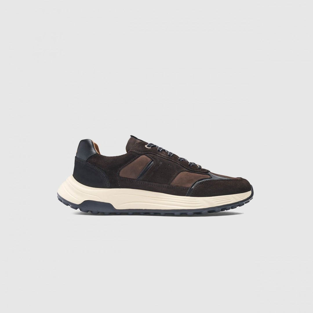 Ambitious Hall Casual Sneaker Brown