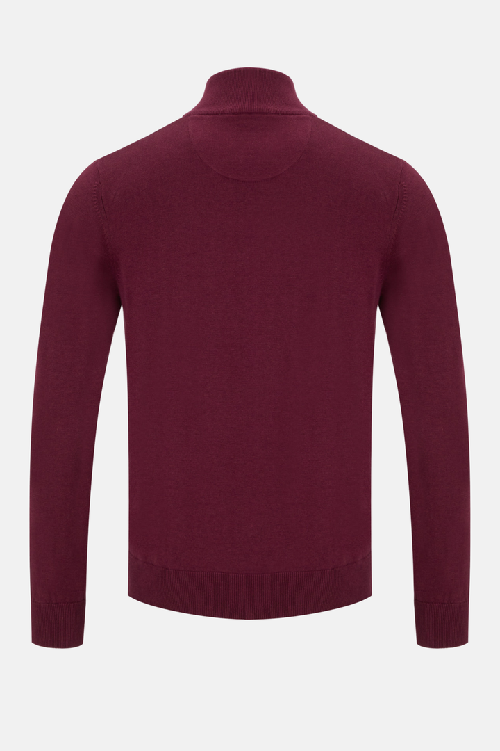 Gilded Gentlemen Rise 1/4 Zip Windsor