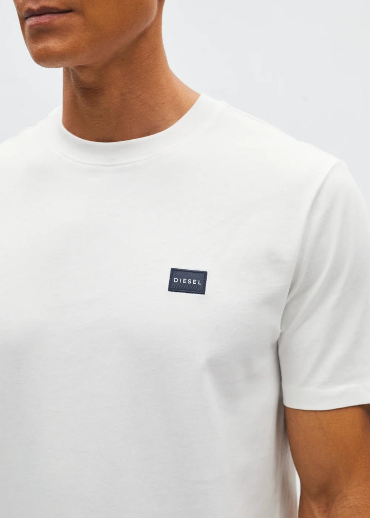 Diesel John Tee Antarctic