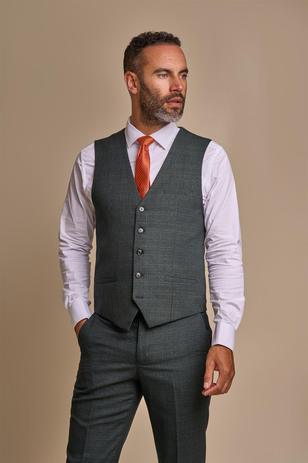 House Of Cavani Caridi Olive Suit image 3